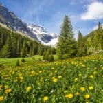 Iffigtal (Bild: © Lenk Simmental Tourismus - swiss-image.ch)