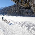 Internationales Schlittenhunderennen (Bild: © Lenk Simmental Tourismus - swiss-image.ch/Marianne Tschanz-Rieder)